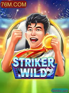 Descubra o Universo Empolgante de StrikerWILD